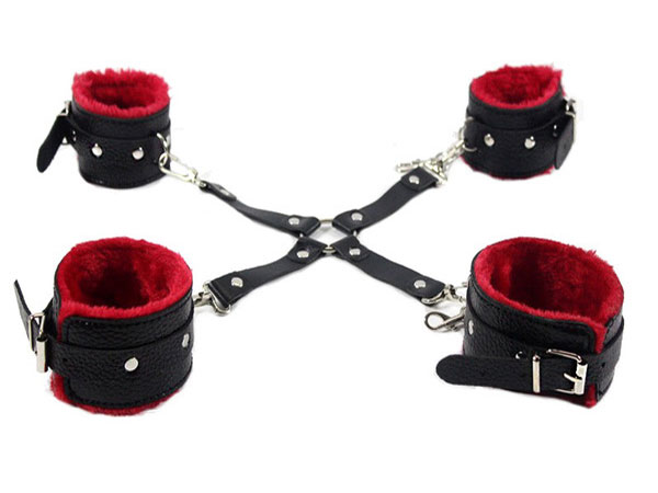 Đồ chơi tình dục bạo dâm